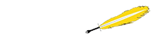 The Art of Liberty Foundation
