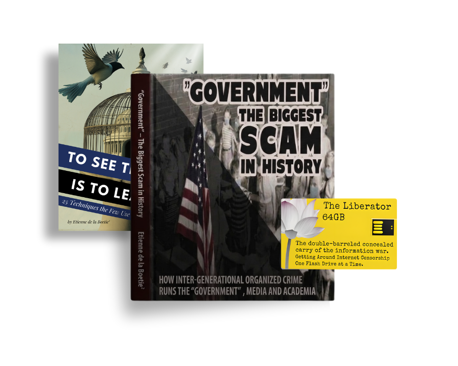 STORE GOVERNMENT IMAGE PREVIEW (2)