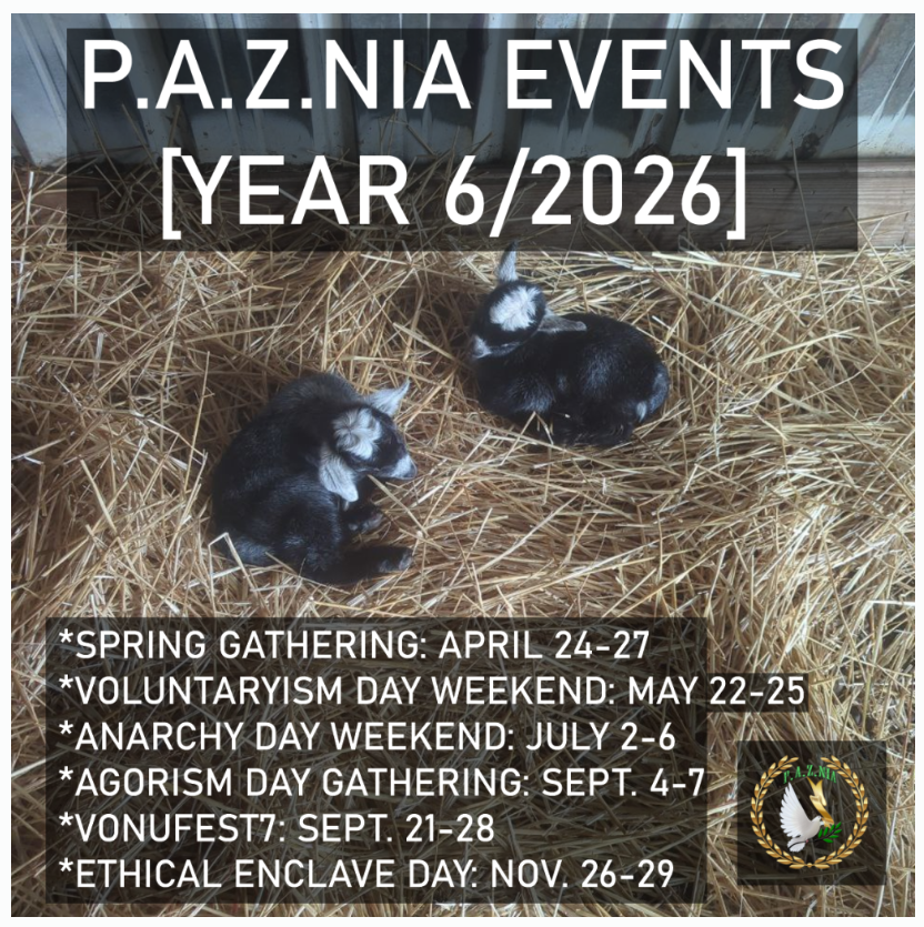 Screenshot 2026 02 19